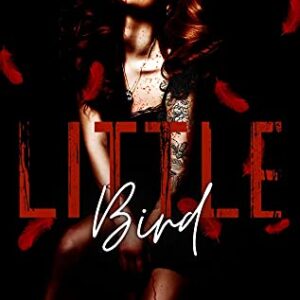 Little Bird (Twisted City Duet #1)